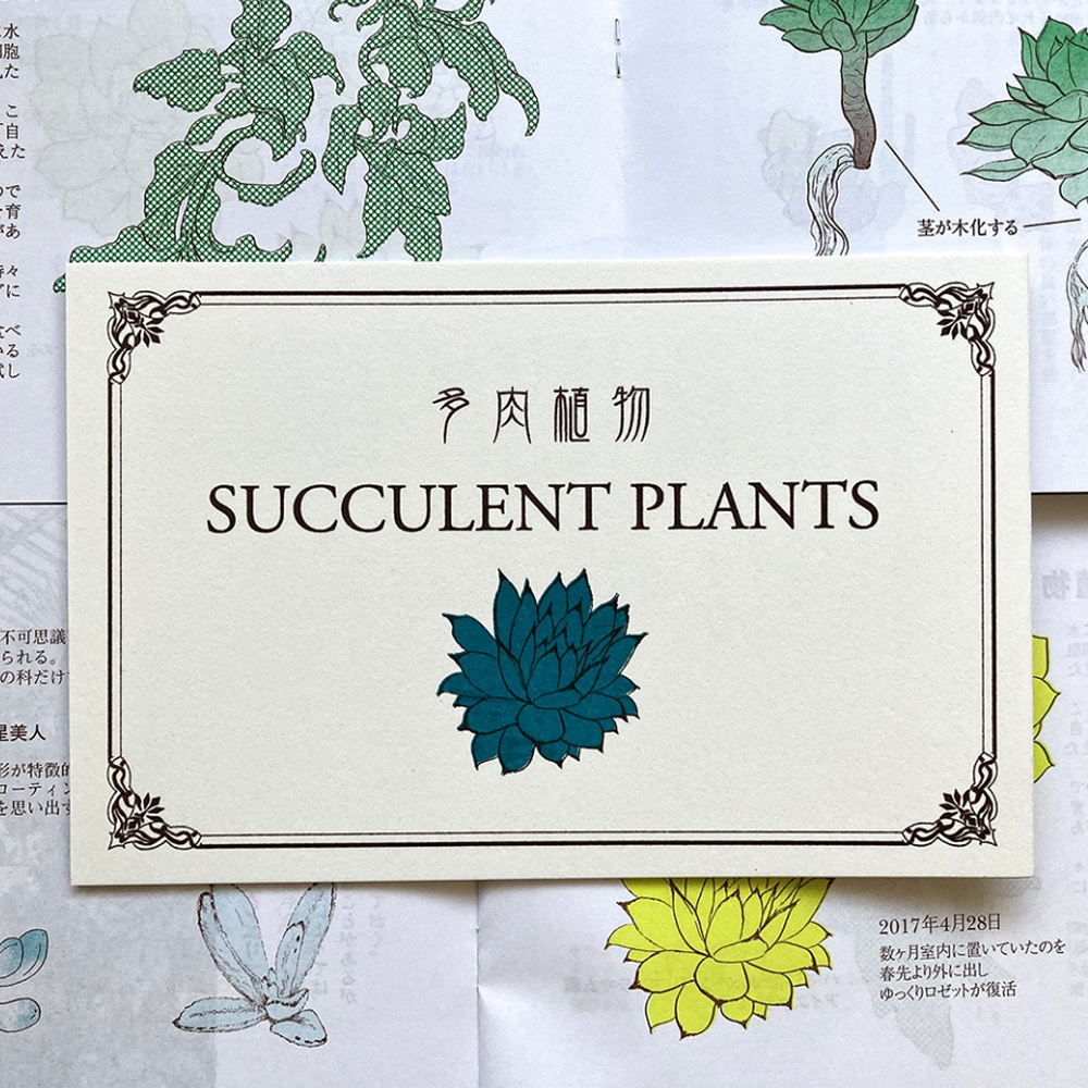 多肉植物 エッセイ＆イラストエッセイZINE